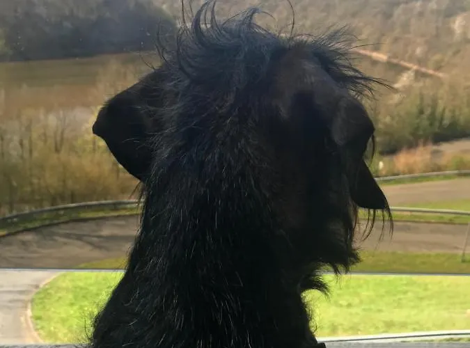 酒店 Berghof Biersdorf